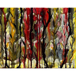 Mells colourful woods 